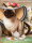 Artibalta AZ-1729 - Diamond Painting Kit Tea Party