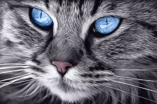 Wizardi WD2517 - Diamond Painting Kit Blue-Eyed Cat