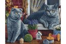 Wizardi WD2483 - Diamond Painting Kit British Shorthair Cats