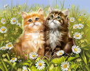 Wizardi WD209 - Diamond Painting Kit Summer Kittens