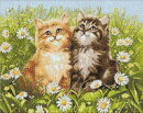 Wizardi WD209 - Diamond Painting Kit Summer Kittens