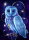Wizardi WD2492 - Diamond Painting Kit Keeper of Mysteries