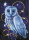 Wizardi WD2492 - Diamond Painting Kit Keeper of Mysteries