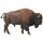 CollectA 88968 - American Bison