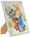 Craft Buddy CAM-PRBT01 - Peter Rabbit Crystal Art Framed Picture Kit