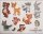 Craft Buddy CAMK-2020SET1 - Sticker Forrest Animals