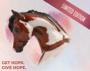 Breyer Traditional (1:9) 62123 - HOPE Horse of the Year 2022
