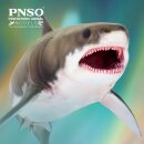 PNSO 054EN - Aidan Cretoxyrhina (prähistorischer Hai)