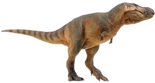 PNSO 58EN - Luxiong the Zhuchengtyrannus