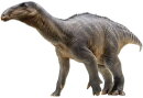 PNSO 1014EN - Harvey The Iguanodon