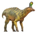 PNSO 1015EN - Xiaoqin The Tsintaosaurus