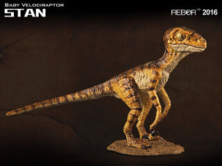 REBOR 160215 - 1:18 Baby Velociraptor Museum Class Replica Stan *1