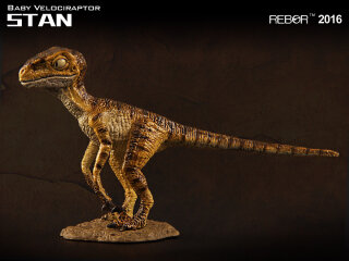 REBOR 160215 - 1:18 Baby Velociraptor Museum Class Replica Stan *1