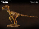 REBOR 160215 - 1:18 Baby Velociraptor Museum Class...