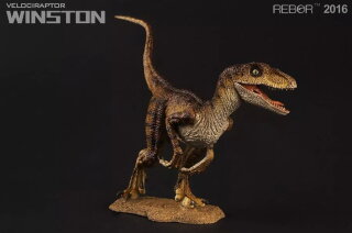 REBOR 160246 - 1:18 Velociraptor - Winston *1