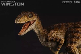 REBOR 160246 - 1:18 Velociraptor - Winston