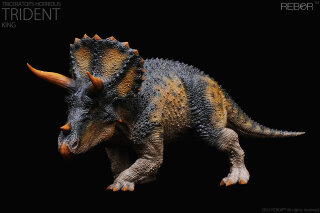 REBOR 160963 - 1:35 Alpha Male Triceratops horridus Trident King Ver. *1