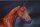 Horse Postcard Warmblood Foal