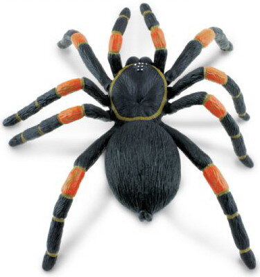 Orange Knee Tarantula Spider Insect Toy Model SAFARI LTD 542006 Brand New 