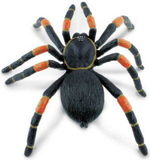 Orange-kneed Tarantula Hidden Kingdom Figure Safari Ltd Toys Educational for sale online 