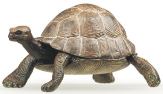 Papo 50013 - Schildkröte