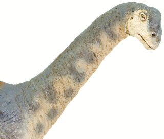 Safari Ltd. Wild Safari® Prehistoric World Dinosaurier 100309 - Camarasaurus