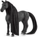 Schleich 42581 - Beauty Horse Criollo Definitivo Stute
