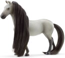 Schleich 42584 - Beauty Horse Sofia & Dusty Starter Set