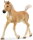 Schleich 13951 - Haflinger Fohlen