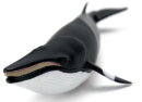 Safari Ltd. 100413 - Zwergwal (Minkwal)