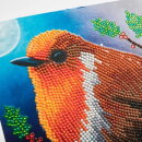 Craft Buddy CCK-XM104 - Crystal Card Kit Robin