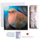 Craft Buddy CCK-XM104 - Crystal Card Kit Robin