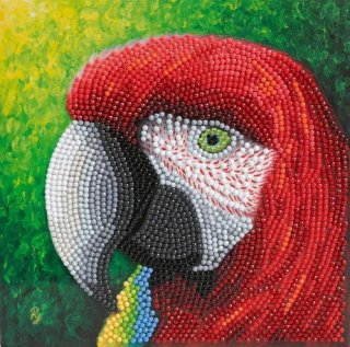 Craft Buddy CCK-A116 - Crystal Card Kit Parrot