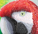 Craft Buddy CCK-A116 - Crystal Card Kit Parrot