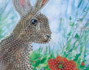 Craft Buddy CCK-A101 - Crystal Card Kit Wild Poppies and the Hare