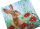 Craft Buddy CCK-A101 - Crystal Card Kit Wild Poppies and the Hare