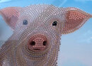 Craft Buddy CCK-A100 - Crystal Card Kit Pig on the Fence