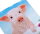 Craft Buddy CCK-A100 - Crystal Card Kit Pig on the Fence