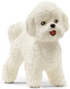Schleich 13963 - Bichon Frisé