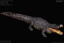 REBOR 161007 - 1:35 Adult Deinosuchus hatcheri Museum...