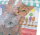 Craft Buddy CAM-33 - Crystal Art Picture Frame Set - Kittens & Ice Cream