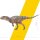 PNSO 62EN - Xinchuan the Sinraptor