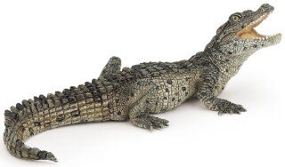 Papo 50137 - Crccodile Baby