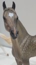 CollectA 88979 - Morgan Hengst - Silver Grulla