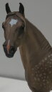 CollectA 88979 - Morgan Hengst - Silver Grulla