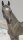 CollectA 88979 - Morgan Hengst - Silver Grulla