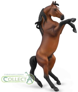 CollectA 88993 - Arabian Stallion - Bay