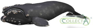 CollectA 88740 - Right Whale