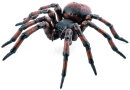 Papo 50291 - Spider