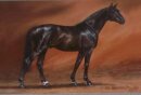 Horse Postcard Sir Satchmo